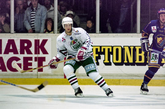 Daniel Johansson, Rögle