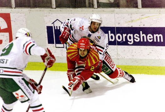 Bedrich Scerban, Brynäs