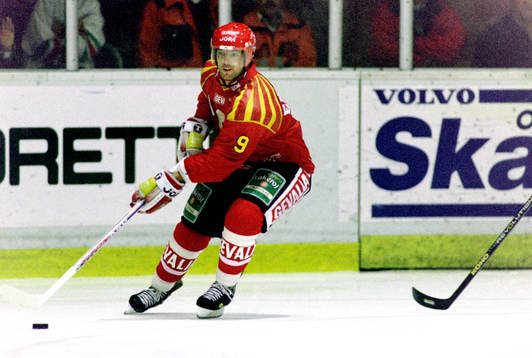 Mikael Enander, Brynäs