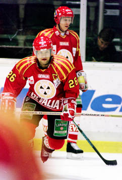Anders Huss, Brynäs