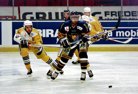 Patrik Erickson, Djurgården