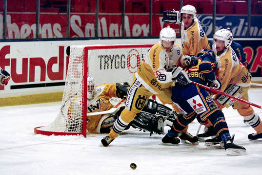 Mikael Magnusson, Djurgården