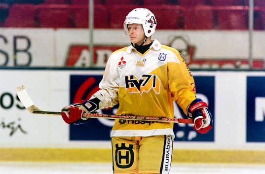 Marko Palo, HV71