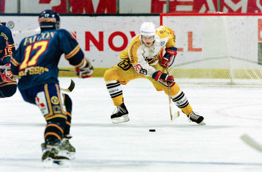 Marko Palo, HV71