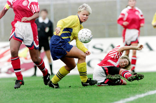 Anneli Andelén, Sverige