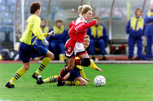 Lena Videkull och Malin Lundgren, Sverige försöker stoppa