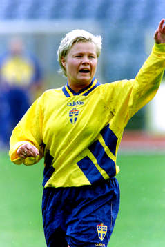 Anneli Andelén, Sverige