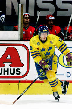 Mats Lindgren, Sverige