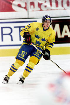 Tomas Holmström, Sverige