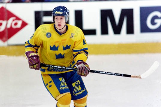 Mats Lindgren, Sverige