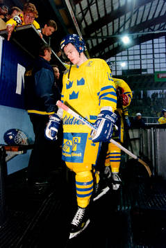 Stefan Örnskog, Sverige