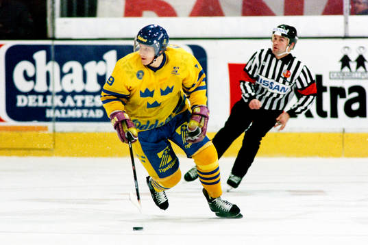 Mats Lindgren, Sverige