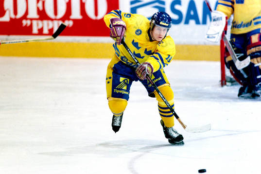 Mats Lindgren, Sverige