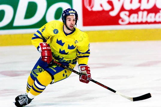 Christer Olsson, Sverige