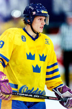 Mats Lindgren, Sverige