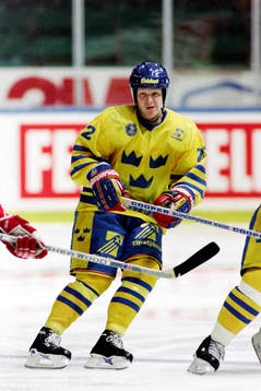 Charles Berglund, Sverige