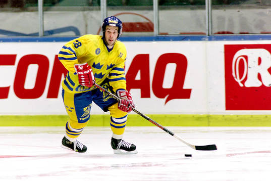 Christer Olsson, Sverige