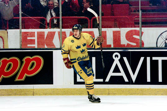 Mats Lindgren, Sverige