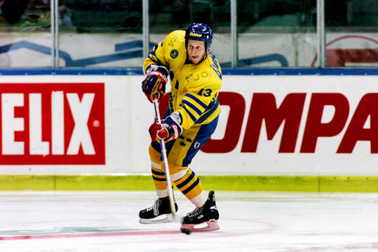 Marcus Ragnarsson, Sverige