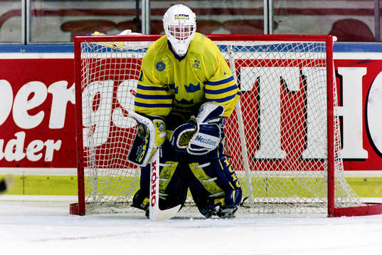 Johan Hedberg, målvakt, Sverige