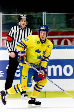 Charles Berglund, Sverige