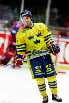 Christer Olsson, Sverige