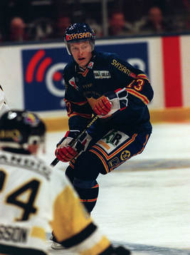 Mats Sundin, Djurgården