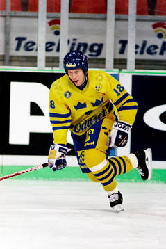 Jonas Berggvist, Sverige