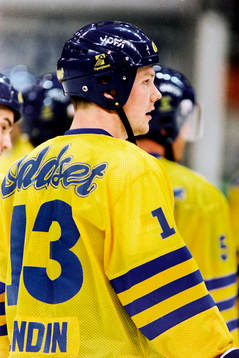 Mats Sundin, Sverige