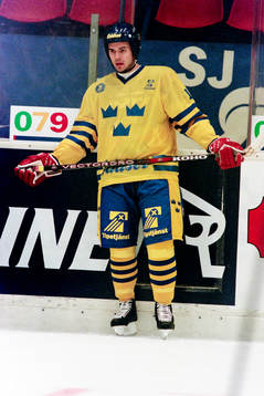 Patrik Carnbäck, Sverige