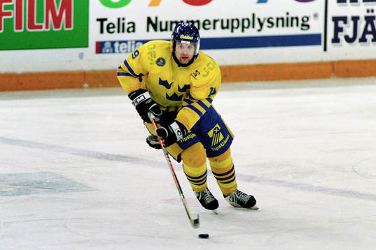 Mikael Renberg, Sverige