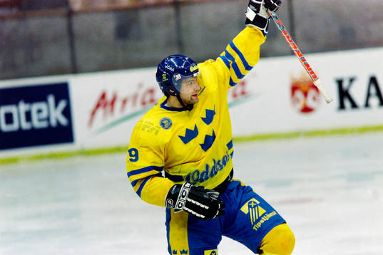 Mikael Renberg, Sverige jublar