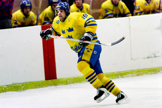 Mikael Renberg, Sverige