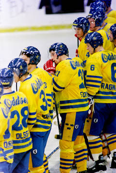 Peter Forsberg och Sverige deppar