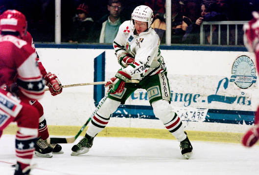 Roger Elvenes, Rögle