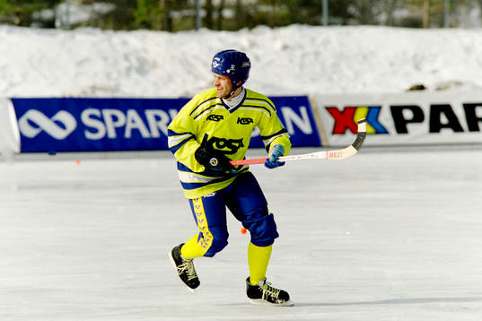 Hans Johansson, Sverige