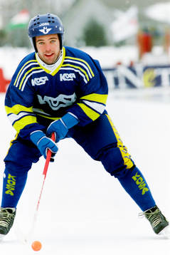Magnus Olsson, Sverige