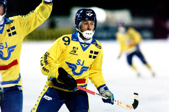 Hans Johansson, Sverige