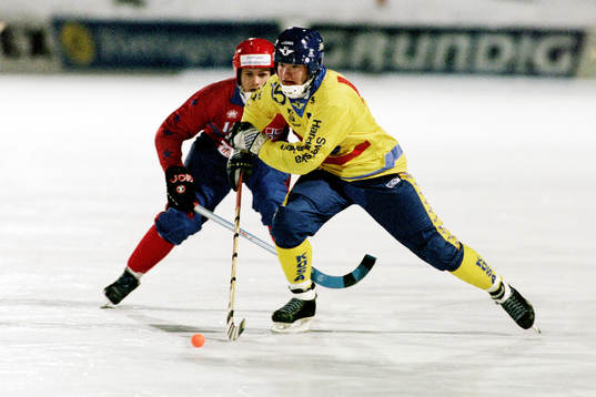 Ola Fredricson, Sverige