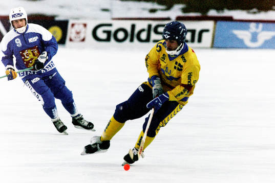 Stefan Jonsson, Sverige