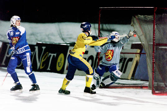 Hans Johansson, Sverige
