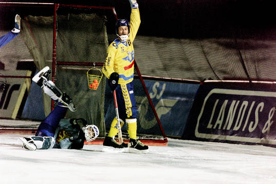 Hans Johansson, Sverige jublar