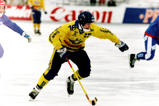 Patrick Södergren, Sverige