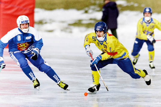 Stefan Jonsson, Sverige