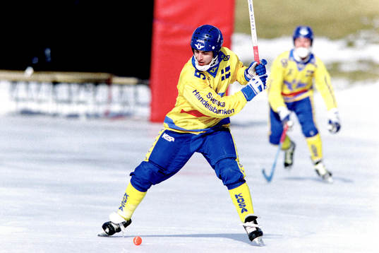 Stefan Jonsson, Sverige