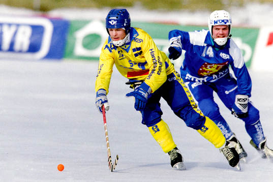Per Fosshaug, Sverige