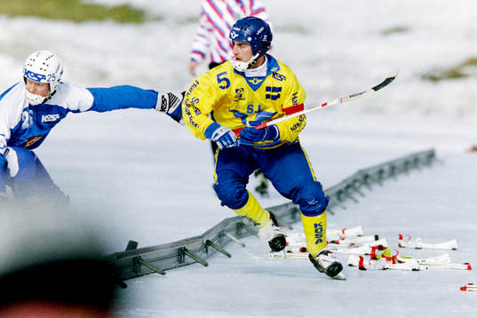 Stefan Jonsson, Sverige