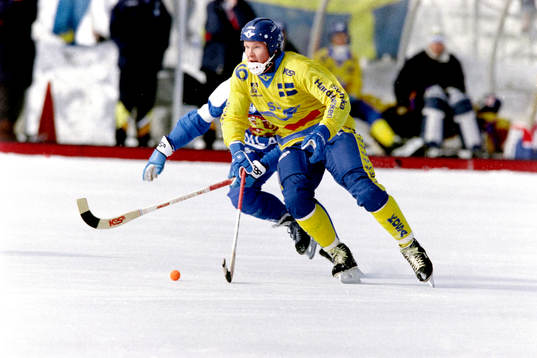 Göran Rosendahl, Sverige