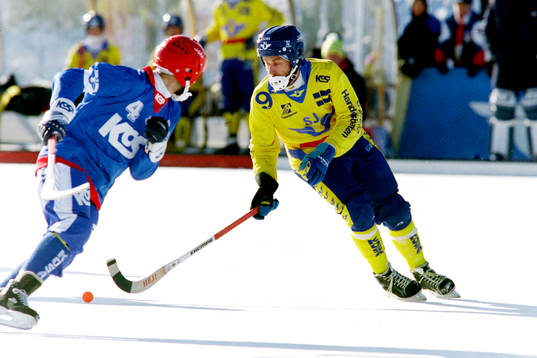 Hans Johansson, Sverige