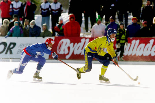Hans Johansson, Sverige